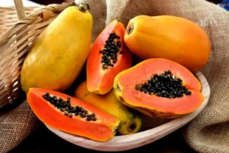 pepaya