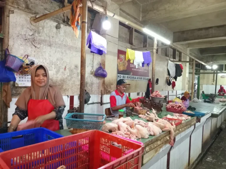 Harga-Daging-Ayam1_result-1024x768
