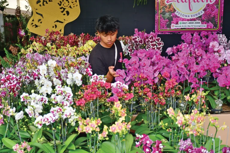 firman-pameran-anggrek-batu-2-1024x683