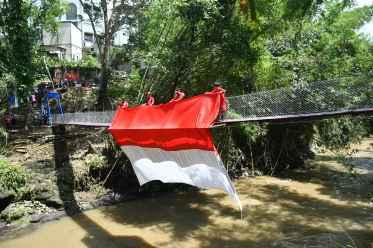 bangau
