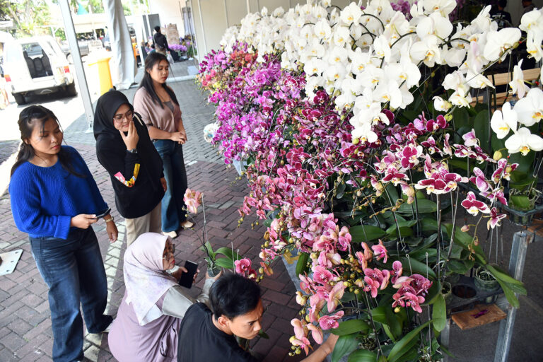 firman-pameran-anggrek-batu-1